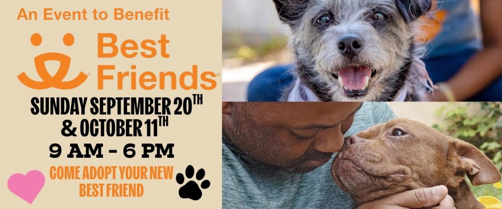 Best Friends Adoption (1)