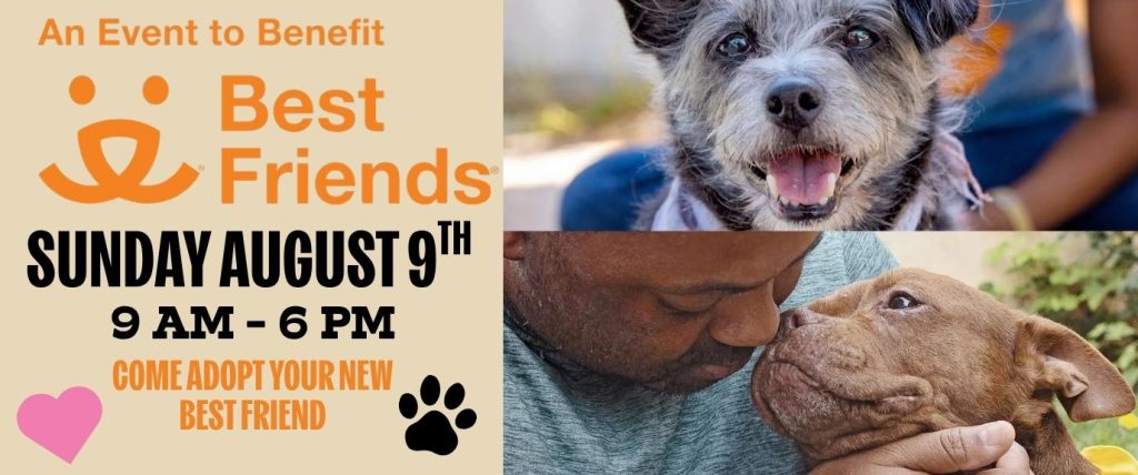 Best Friends Adoption Banner