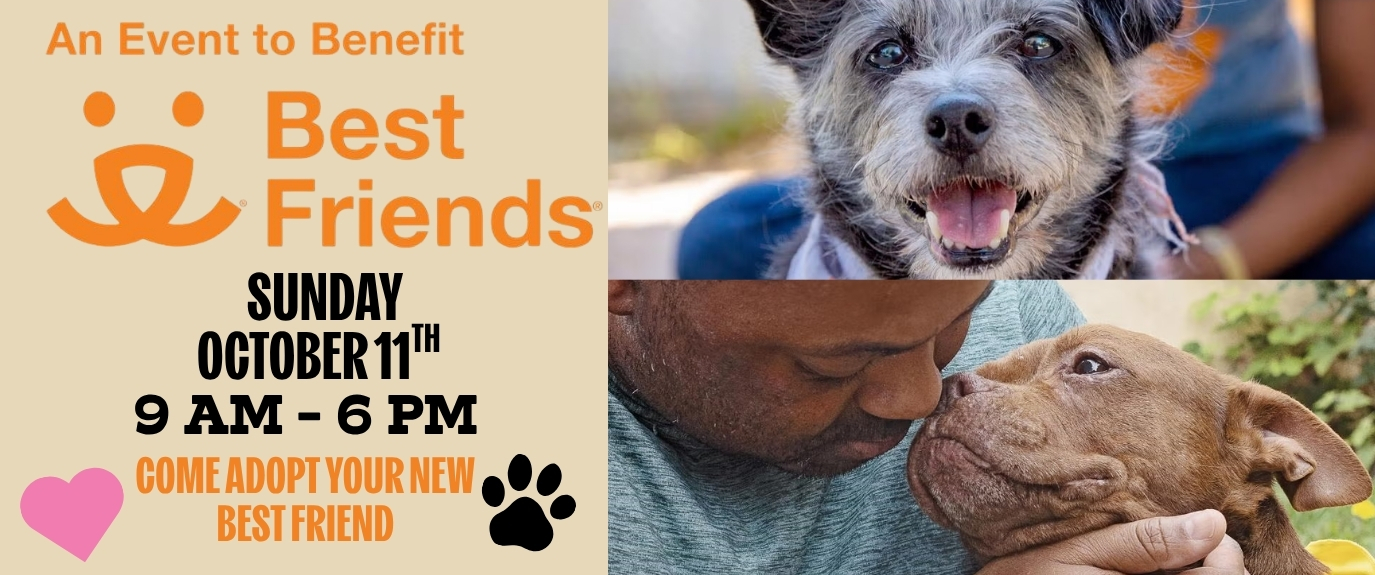 Best Friends Adoption 10.2026